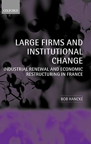 Large Firms and Institutional Change Industrial Reneal and Economic Restructur [Hardcover]