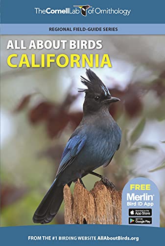 All About Birds California [Paperback]