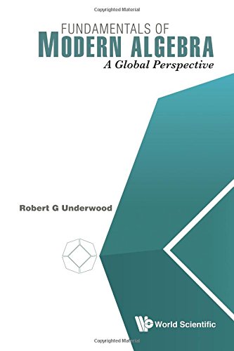 Fundamentals Of Modern Algebra A Global Perspective [Paperback]