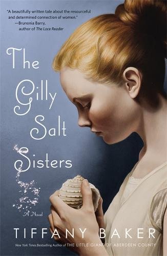 The Gilly Salt Sisters A Novel [Paperback]