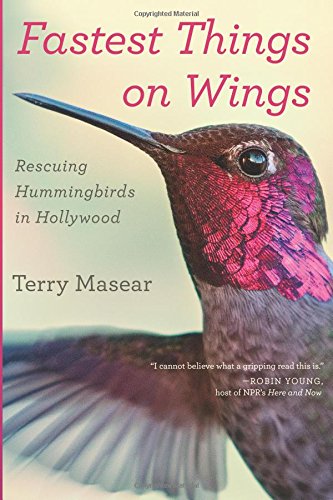 Fastest Things on Wings: Rescuing Hummingbirds in Hollywood [Paperback]