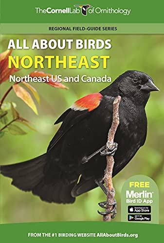 All About Birds Northeast: Northeast US and C