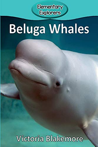 Beluga Whales (elementary Explorers) [Paperback]