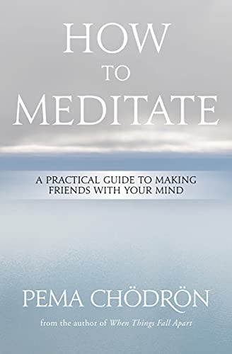 How to Meditate: A Practical Guide to Making Friends with Your Mind [Paperback]