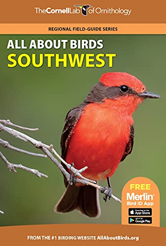 All About Birds Southwest [Paperback]