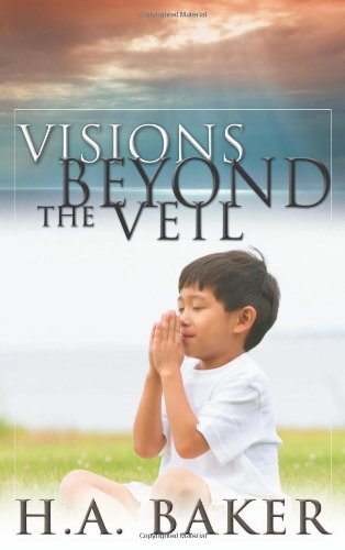 Visions Beyond The Veil [Paperback]