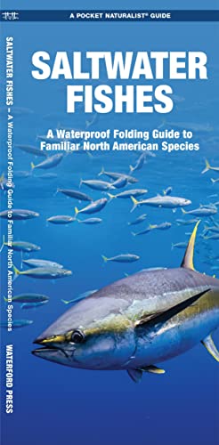 Saltwater Fishes: A Waterproof Folding Guide to Familiar North American Species [Pamphlet]