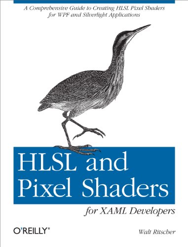 HLSL and Pixel Shaders for XAML Developers A Comprehensive Guide to Creating HL [Paperback]