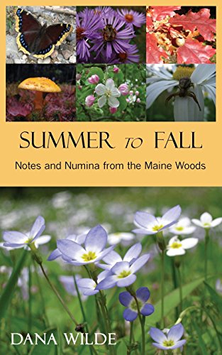 Summer To Fall [Paperback]