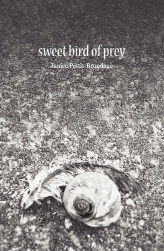 Seet Bird Of Prey [Paperback]