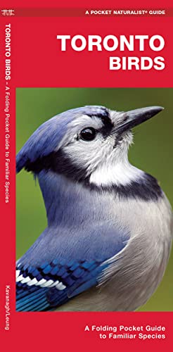 Toronto Birds: A Folding Pocket Guide to Familiar Species [Pamphlet]