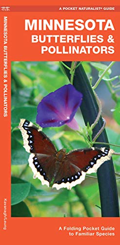 Minnesota Butterflies & Pollinators: A Folding Pocket Guide to Familiar Spec [Pamphlet]