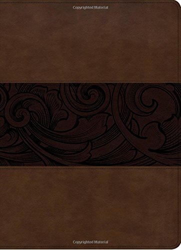 Csb Study Bible, Mahogany Leathertouch [Imitation Leather]