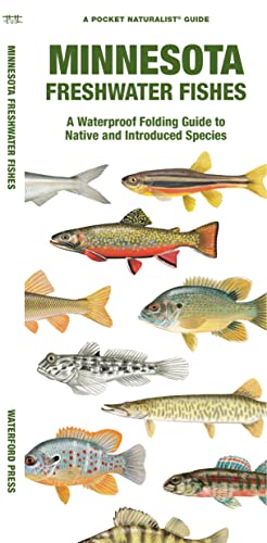 Minnesota Freshwater Fishes: A Waterproof Folding Guide to Native and Introduced [Pamphlet]