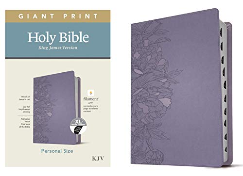 KJV Personal Size Giant Print Bible, Filament Enabled Edition (Red Letter, Leath [Leather / fine bindi]