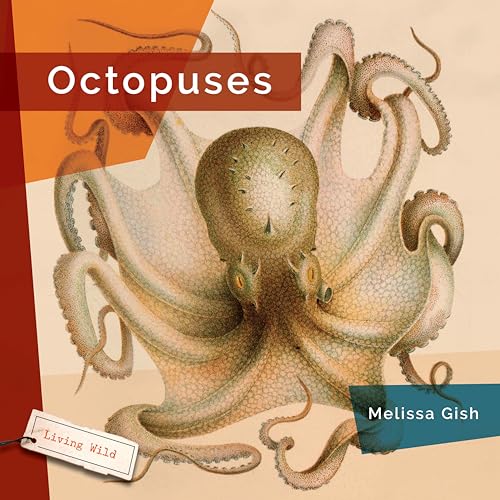 Octopuses [Paperback]