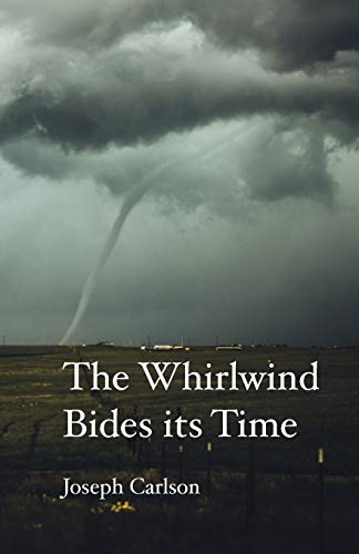 The Whirlind Bides His Time Sonnets For The Church Year [Paperback]