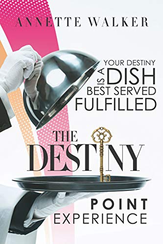 Destiny Point Experience [Paperback]