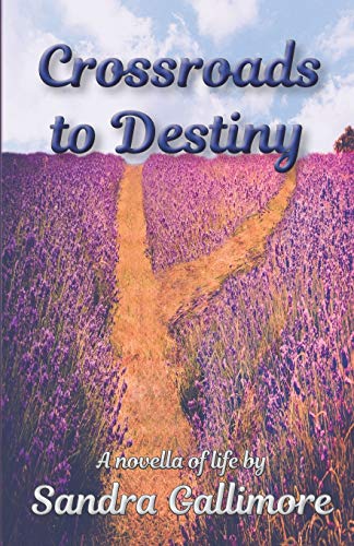 Crossroads to Destiny  A Novella of Life [Paperback]