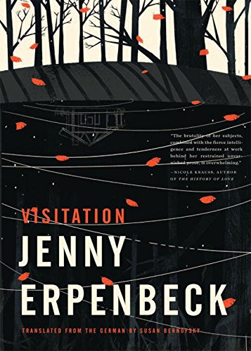 Visitation [Paperback]