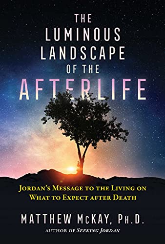 The Luminous Landscape of the Afterlife: Jordan's Message to the Living on W [Paperback]