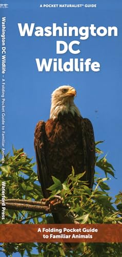 Washington DC Wildlife: A Folding Pocket Guide to Familiar Animals [Pamphlet]