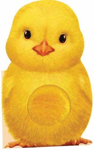 Furry Chick [Board book]