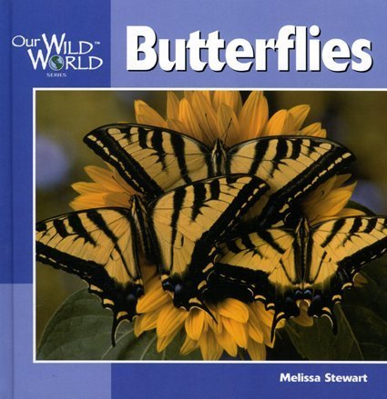 Butterflies [Hardcover]