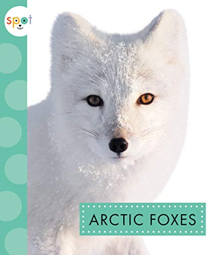 Arctic Foxes [Paperback]