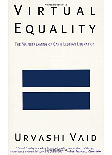 Virtual Equality The Mainstreaming of Gay and Lesbian Liberation [Paperback]