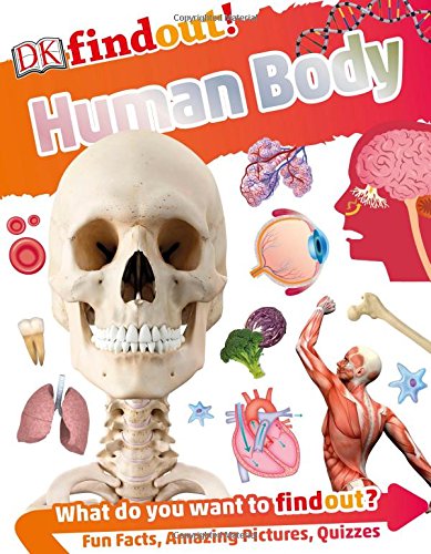 DK findout! Human Body [Paperback]