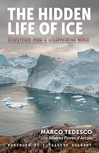 Hidden Life Of Ice                       [CLO