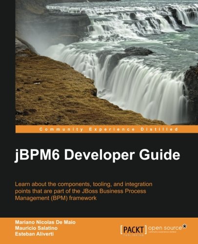 Jbpm 6 Developer Guide [Paperback]