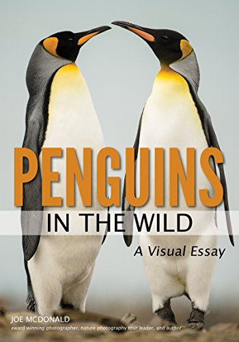 Penguins in the Wild [Paperback]