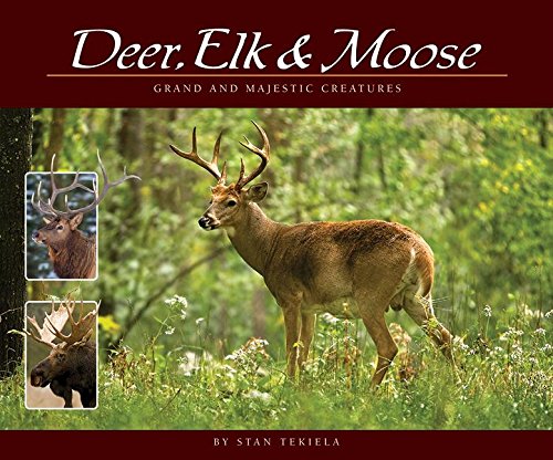 Deer, Elk & Moose: Grand and Majestic Cre