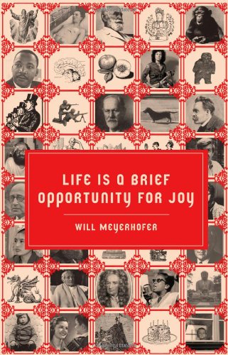 Life Is A Brief Opportunity For Joy [Paperback]