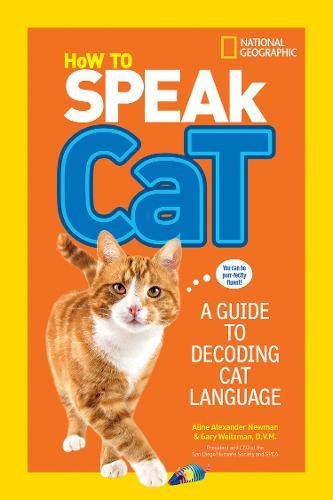 How to Speak Cat: A Guide to Decoding Cat Lan