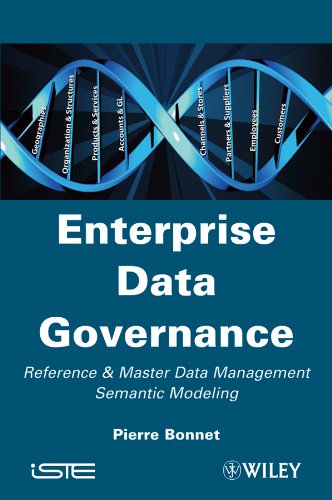 Enterprise Data Governance: Reference and Master Data Management Semantic Modeli [Hardcover]