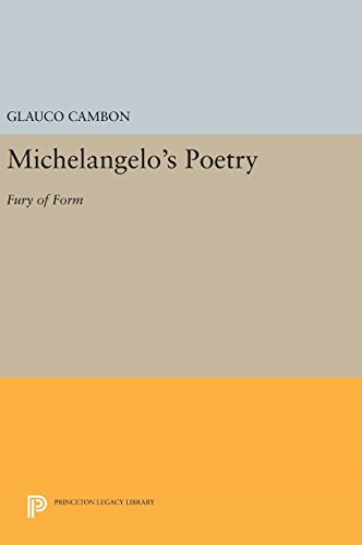 Michelangelo's Poetry Fury of Form [Hardcover]