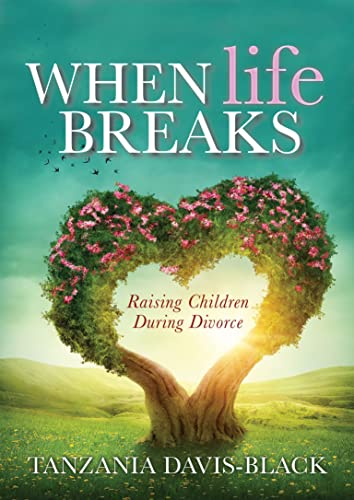 When Life Breaks Raising Children During Divorce [Paperback]