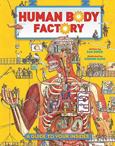 The Human Body Factory: A Guide To Your Insid