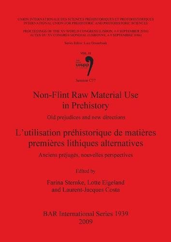 Non-Flint Ra Material Use in Prehistory Old Prejudices and Ne Directions [Paperback]