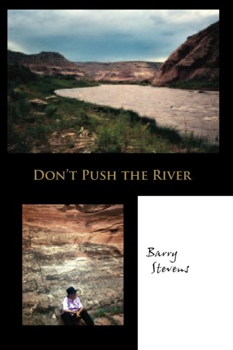 Don't Push The River It Flos By Itself [Paperback]