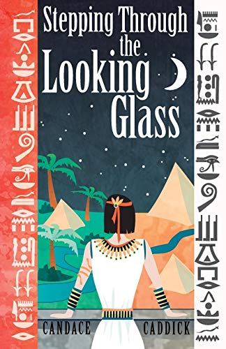 Stepping Through The Looking Glass [Paperback]