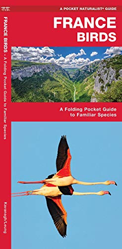 France Birds: A Folding Pocket Guide to Familiar Species [Pamphlet]