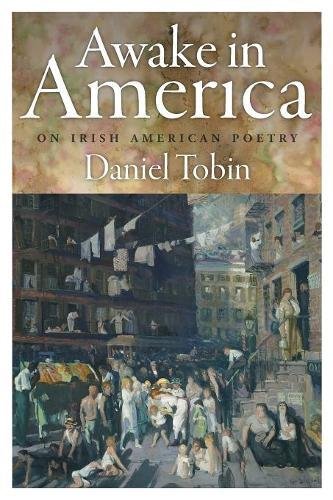 Awake in America On Irish American Poetry [Paperback]