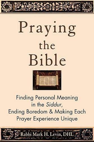 Praying the Bible: Finding Personal Meaning in the Siddur, Ending Boredom &  [Paperback]