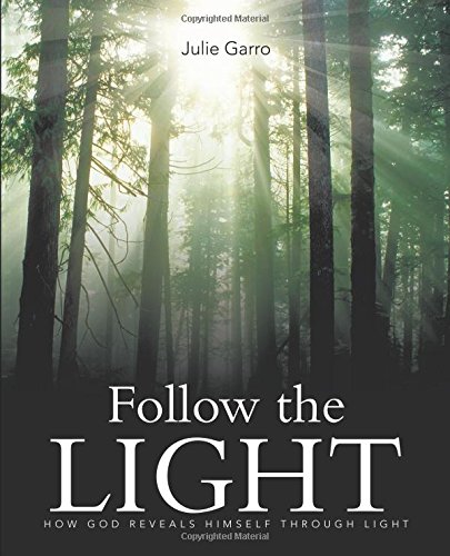 Follo The Light Ho God Reveals Himself Through Light [Paperback]