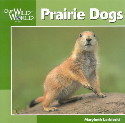 Prairie Dogs [Paperback]