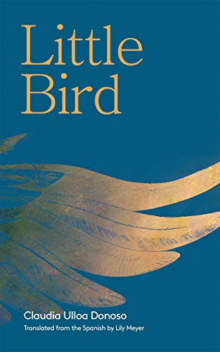 Little Bird [Paperback]